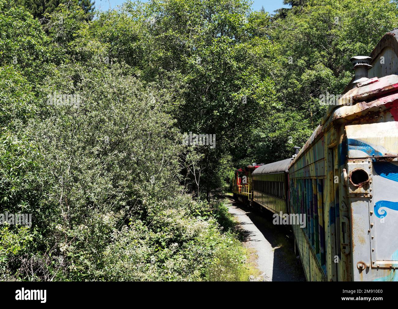 Mendocino Railway (il treno Skunk), è una ferrovia storica della contea di Mendocino, California, con questa linea da Fort Bragg lungo Pudding Creek. Foto Stock