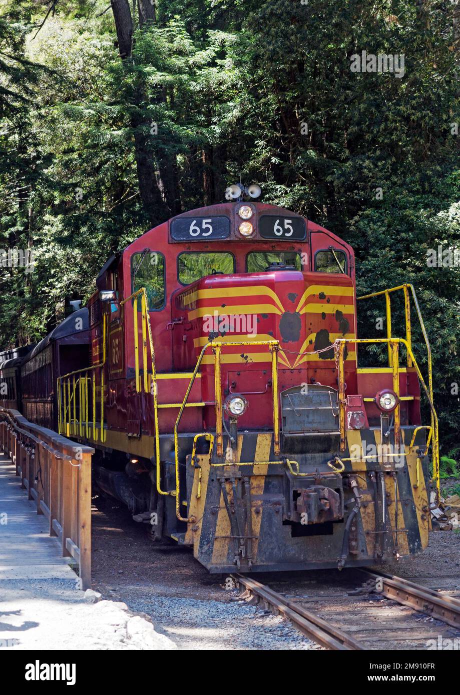 Pudding Creek Express trainato da loco 65 a Glen Blair Jct nella contea di Mendocino, California, sulla linea da Fort Bragg lungo Pudding Creek. Foto Stock