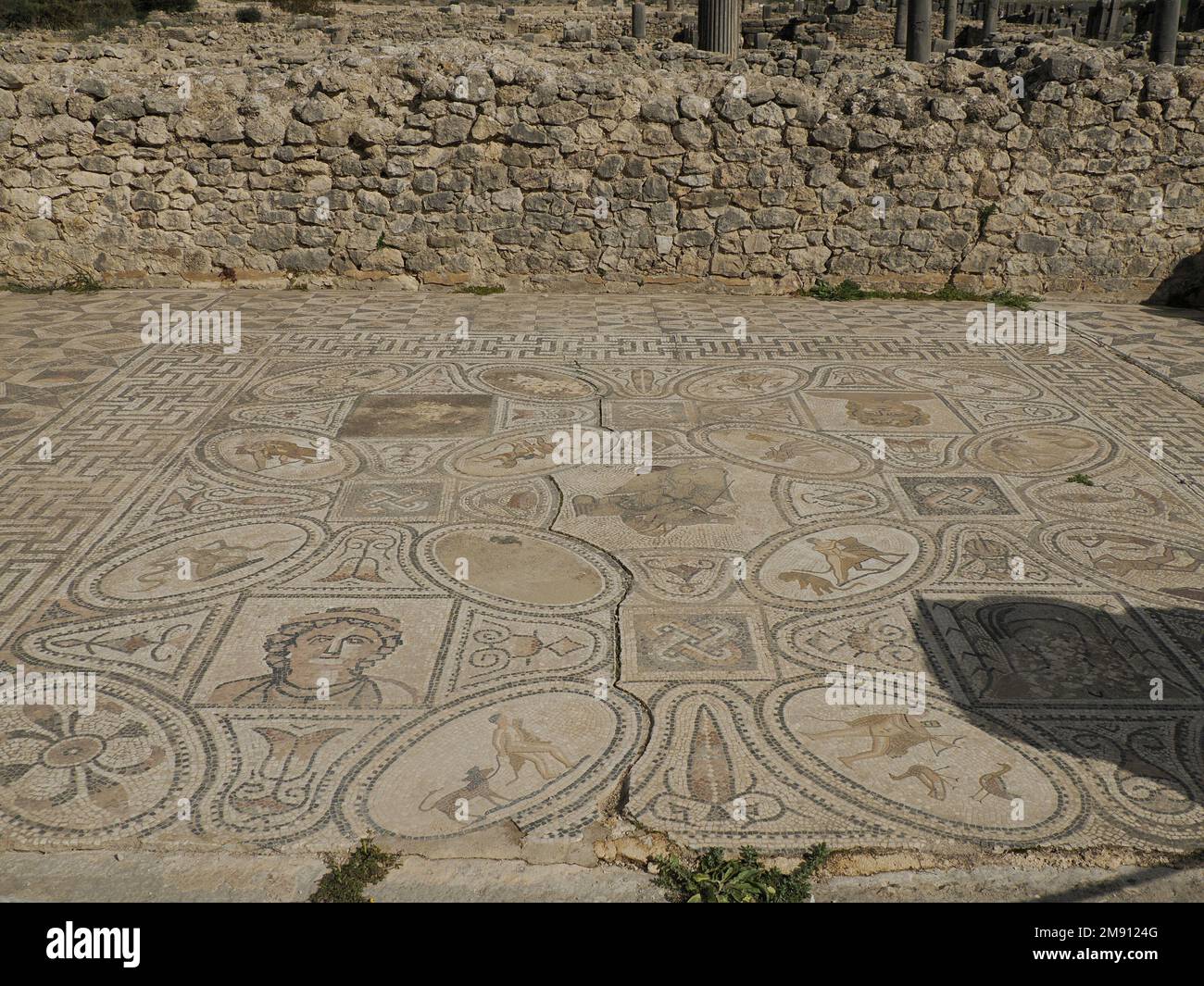 Rovine romane di Volubilis in Marocco - le rovine romane meglio conservate si trovano tra le città imperiali di Fez e Meknes su una fertile pianura circondata da wh Foto Stock