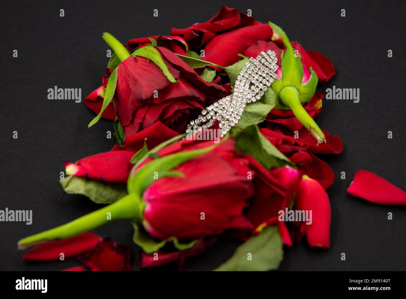 Ornamento di diamante femminile in fiori di rosa rossi su sfondo nero. Foto Stock