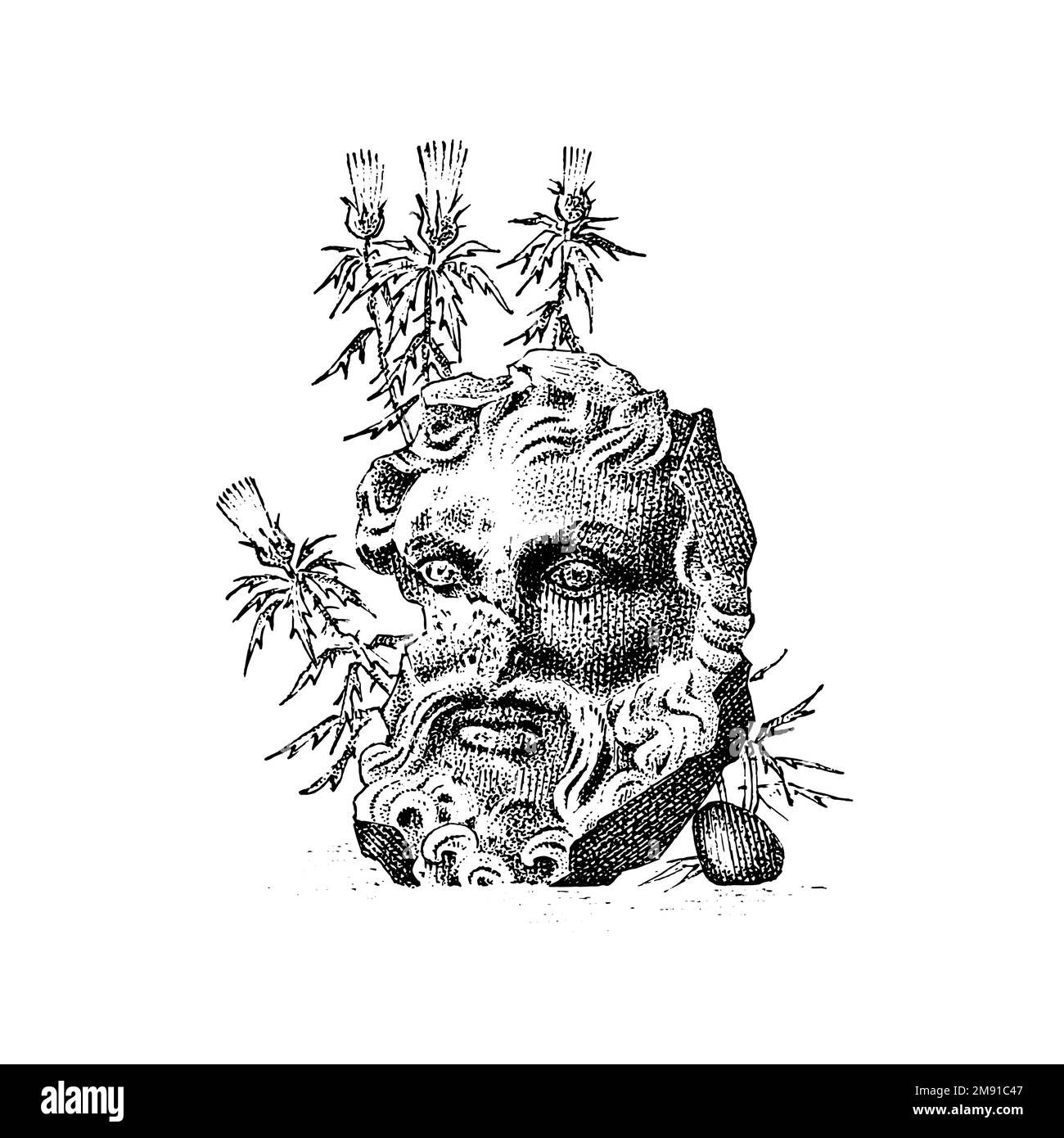 Linea scultura testa vintage con fiori. Statua greca. Uccello disegnato a mano. Vecchio schizzo monocromatico inciso. Illustrazione Vettoriale Linea scultura testa vintage con fiori. Statua greca. Uccello disegnato a mano. Vecchio schizzo monocromatico inciso. Illustrazione Vettoriale