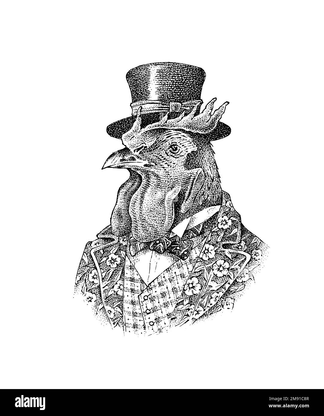 Personaggio di gallo in un cappello. Aristocrat alla moda o Rich Man. Scarpetta disegnata a mano. Vecchio schizzo monocromatico inciso. Illustrazione Vettoriale