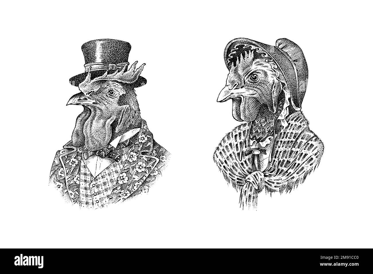 Personaggio di gallo in un cappello. Pollo con sciarpa. Aristocrat alla moda o Rich Man. Scarpetta disegnata a mano. Vecchio schizzo monocromatico inciso. Illustrazione Vettoriale
