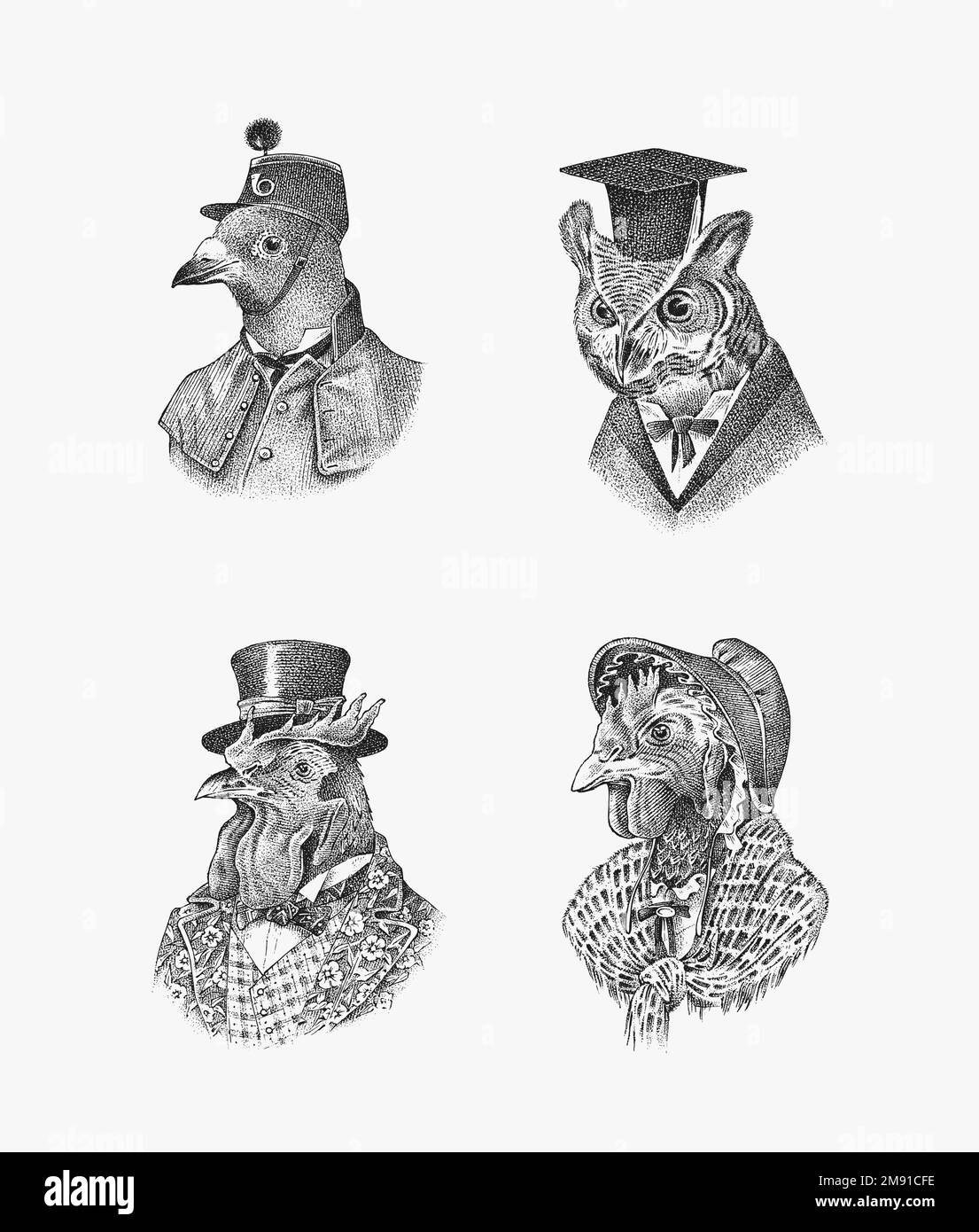 Personaggio uccello in un cappello e vestito. Covata di pollo al gallo Peregrine falcon. L'uomo in un vestito. Aristocrat alla moda. Uccello disegnato a mano. Vecchio inciso Illustrazione Vettoriale Personaggio uccello in un cappello e vestito. Covata di pollo al gallo Peregrine falcon. L'uomo in un vestito. Aristocrat alla moda. Uccello disegnato a mano. Vecchio inciso Illustrazione Vettoriale