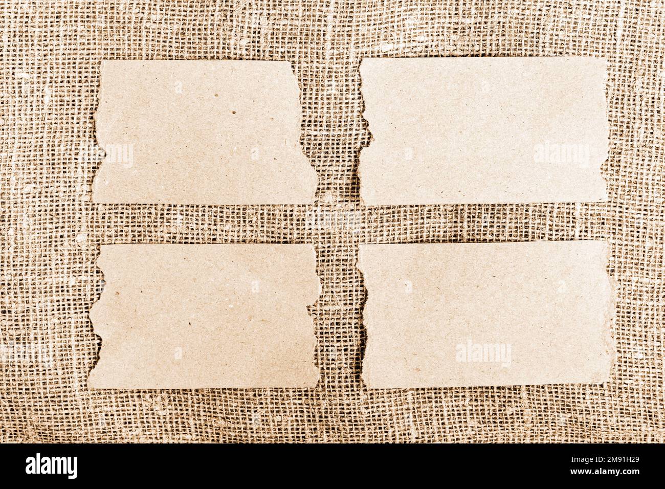 Set di carta da artigianato con bordi strappati su fondo tela Foto Stock