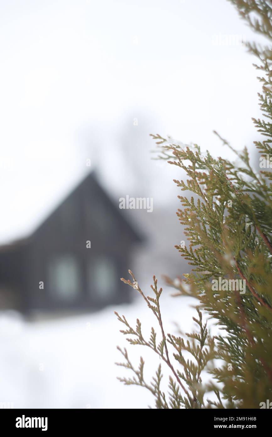 Silhouette di una casa in inverno Foto Stock