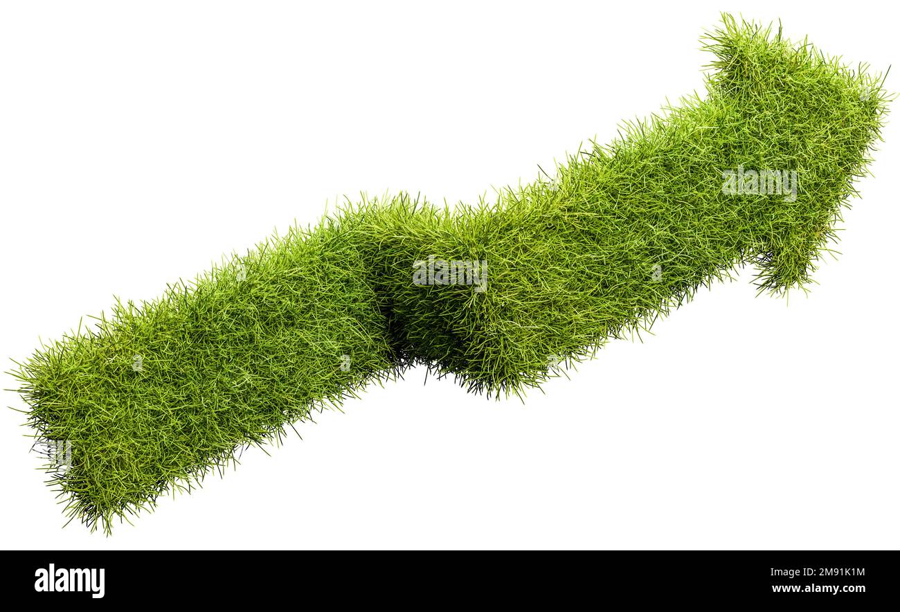 Una freccia fatta di erba verde che punta in su come una tabella di riserva. Concetto di crescita verde Foto Stock