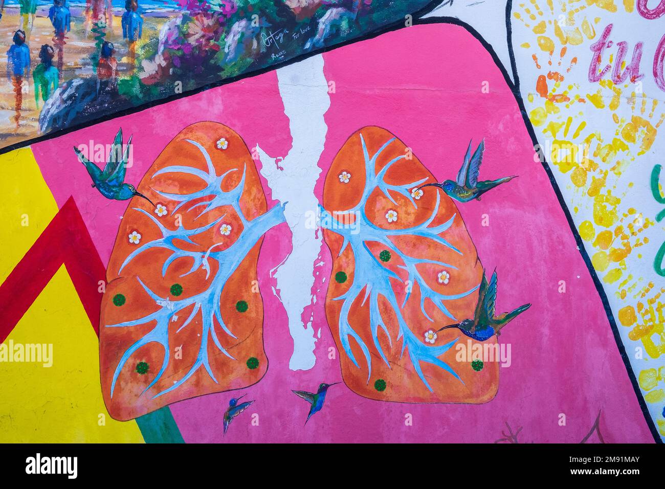 Murale di colibrì che aiutano i polmoni umani durante la crisi del Covid-19, mappa della penisola di Baja California, San José del Cabo, Messico Foto Stock