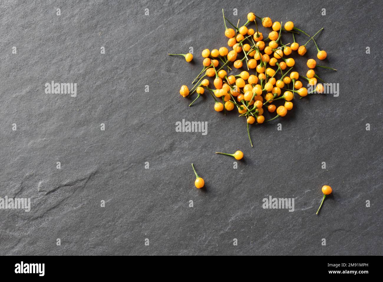 Un gruppo di peperoni peruviani gialli heirloom aji charapita contro uno sfondo grigio ardesia; fotografia di cibo Foto Stock