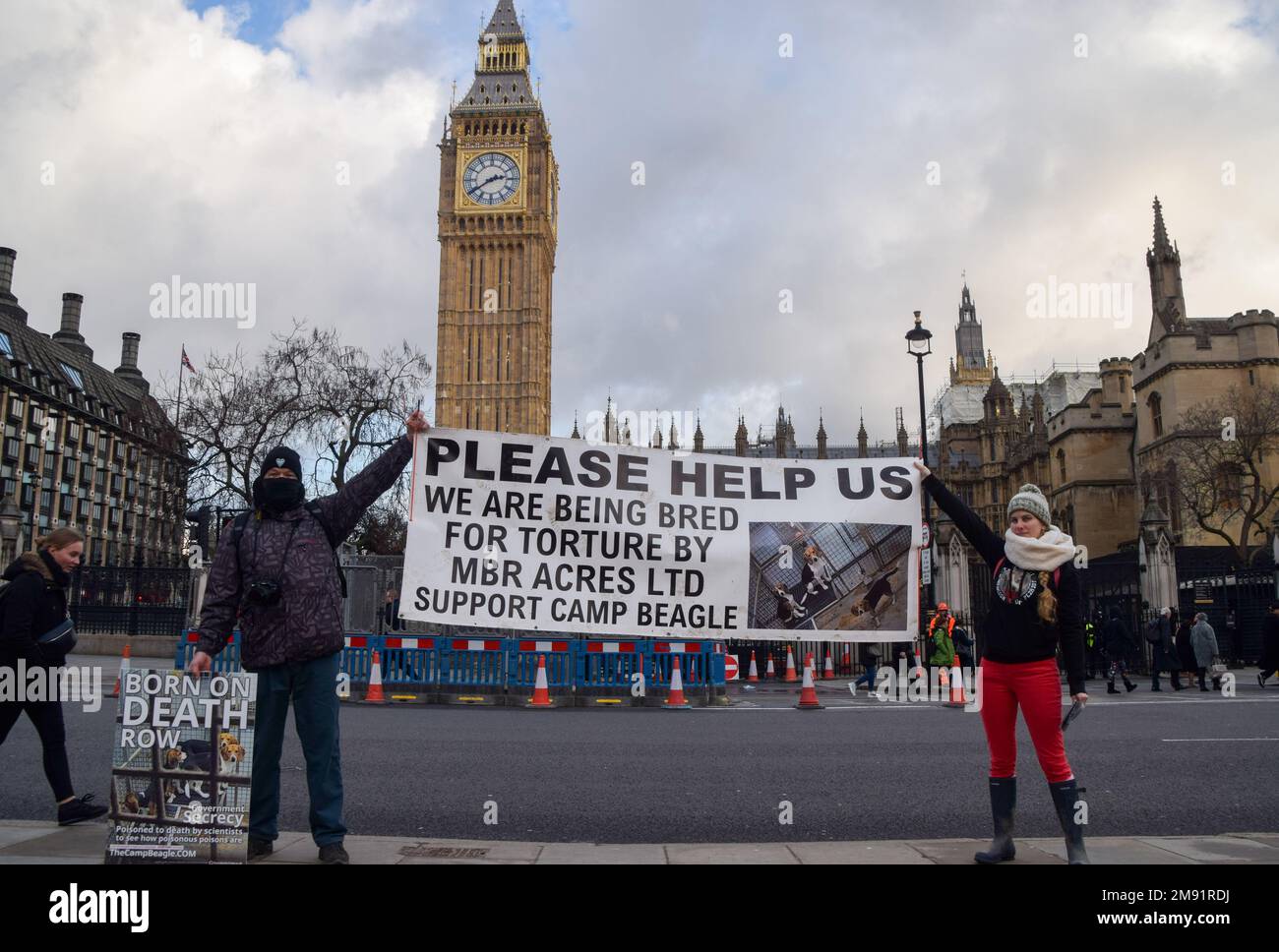 Londra, Inghilterra, Regno Unito. 16th Jan, 2023. I manifestanti hanno un banner anti-MBR Acres. Gli attivisti per i diritti degli animali hanno organizzato una protesta in Piazza del Parlamento prima del dibattito del governo su una petizione che chiedeva la fine dell'allevamento commerciale di animali per i laboratori e la fine degli esperimenti sugli animali. (Credit Image: © Vuk Valcic/ZUMA Press Wire) SOLO PER USO EDITORIALE! Non per USO commerciale! Foto Stock