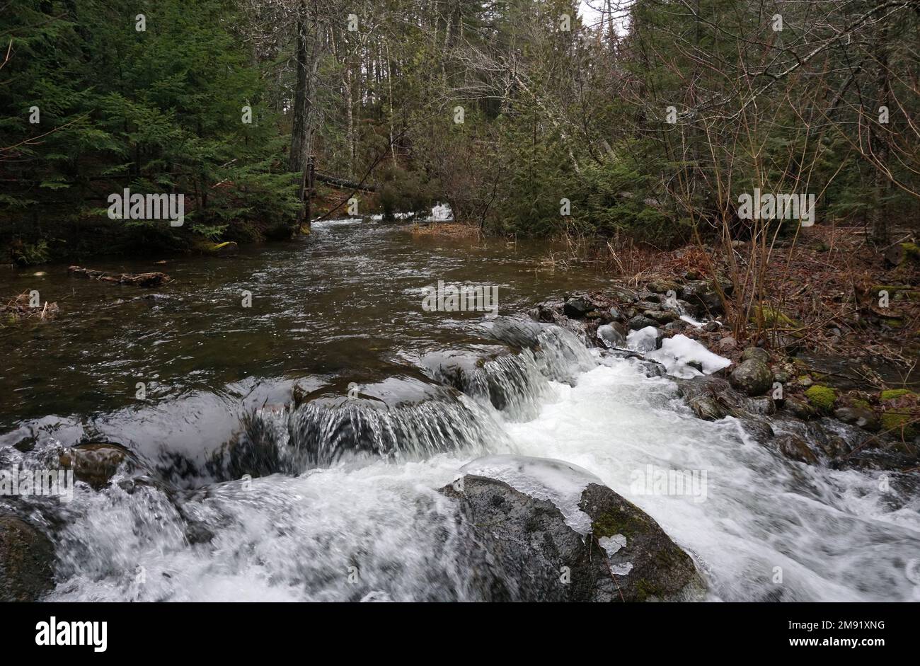 ChamCook Stream, New Brunswick, Canada Foto Stock ChamCook Stream, New Brunswick, Canada Foto Stock