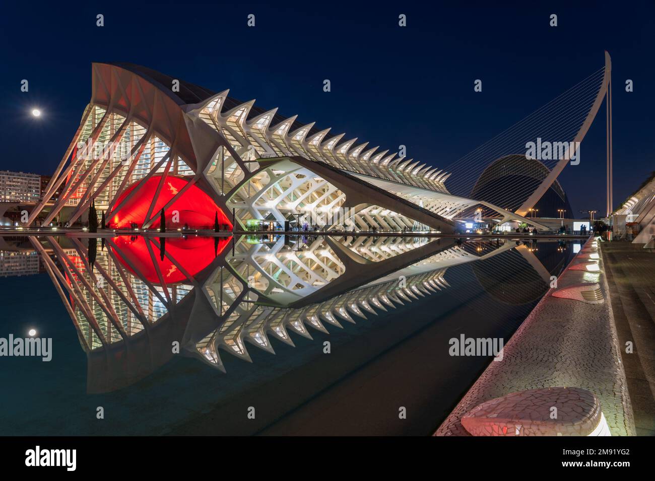 Il Museo della Scienza della Città delle Arti e delle Scienze di Valencia è stato progettato dall'architetto spagnolo Santiago Calatrava. Assomiglia a uno scheletro di pesce. Foto Stock