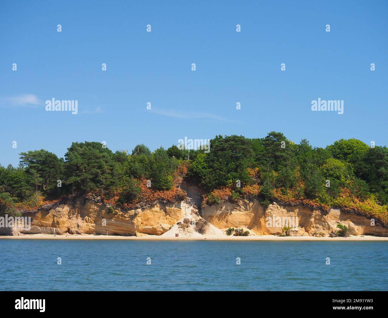 Brownsea Island nel porto di Poole in Dorset Foto Stock