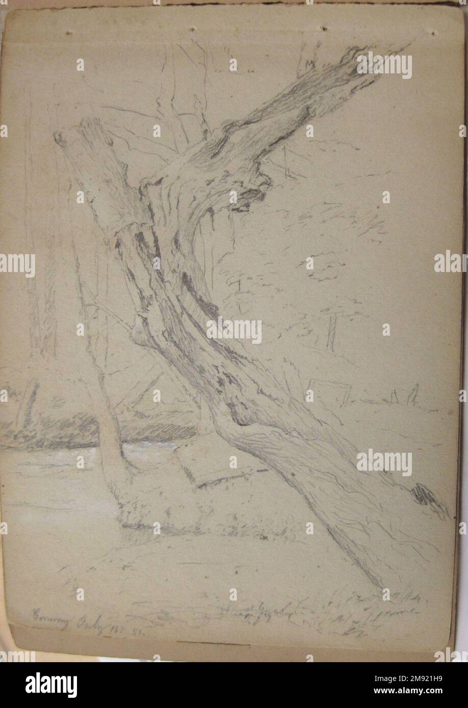 Sketchbook, Conway, New Hampshire David Johnson (americano, 1827-1908). Sketchbook, Conway, New Hampshire, luglio-ottobre 1851. Grafite, gesso e acquerello opaco su carta di peso medio, beige, wove, schedario, schedario: 4 7/8 x 6 3/4 x 5/16 pollici (12,4 x 17,1 x 0,8 cm). Pittore paesaggista che si dedicò all'attento studio della natura, Johnson viaggiò per tutto il nord-est raccogliendo schizzi che avrebbe poi usato per creare dipinti molto dettagliati nel suo studio. Alcuni dei suoi ritrovamenti includevano le montagne Catskill e Adirondack a New York e le White Mountains a New Hampshir Foto Stock