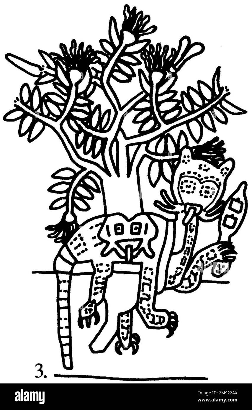 Manto ('il tessuto Paracas') Nasca. Mantella ('The Paracas Textile'), 100-300 C.E. Cotone, fibra camelide, 24 5/8 x 58 11/16 poll. (62,5 x 149 cm). Questo mantello, o mantello, straordinariamente complesso, è uno dei tessuti andini più rinomati al mondo. Era molto probabilmente usato come oggetto cerimoniale. Le novanta figure che decorano il confine, create dalla lavorazione ad aghi, sono state interpretate come un microcosmo di vita sulla costa meridionale del Perù duemila anni fa, con particolare attenzione all’agricoltura. Molte delle immagini illustrano la flora e la fauna autoctone e le piante coltivate. Figure in costume Foto Stock