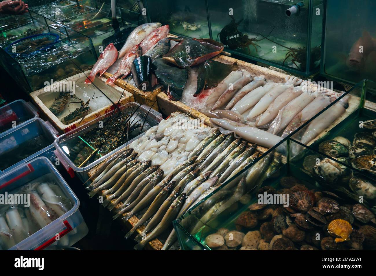 Pesce fresco di pesce, calamari, aragosta per il cibo in Asia Foto Stock