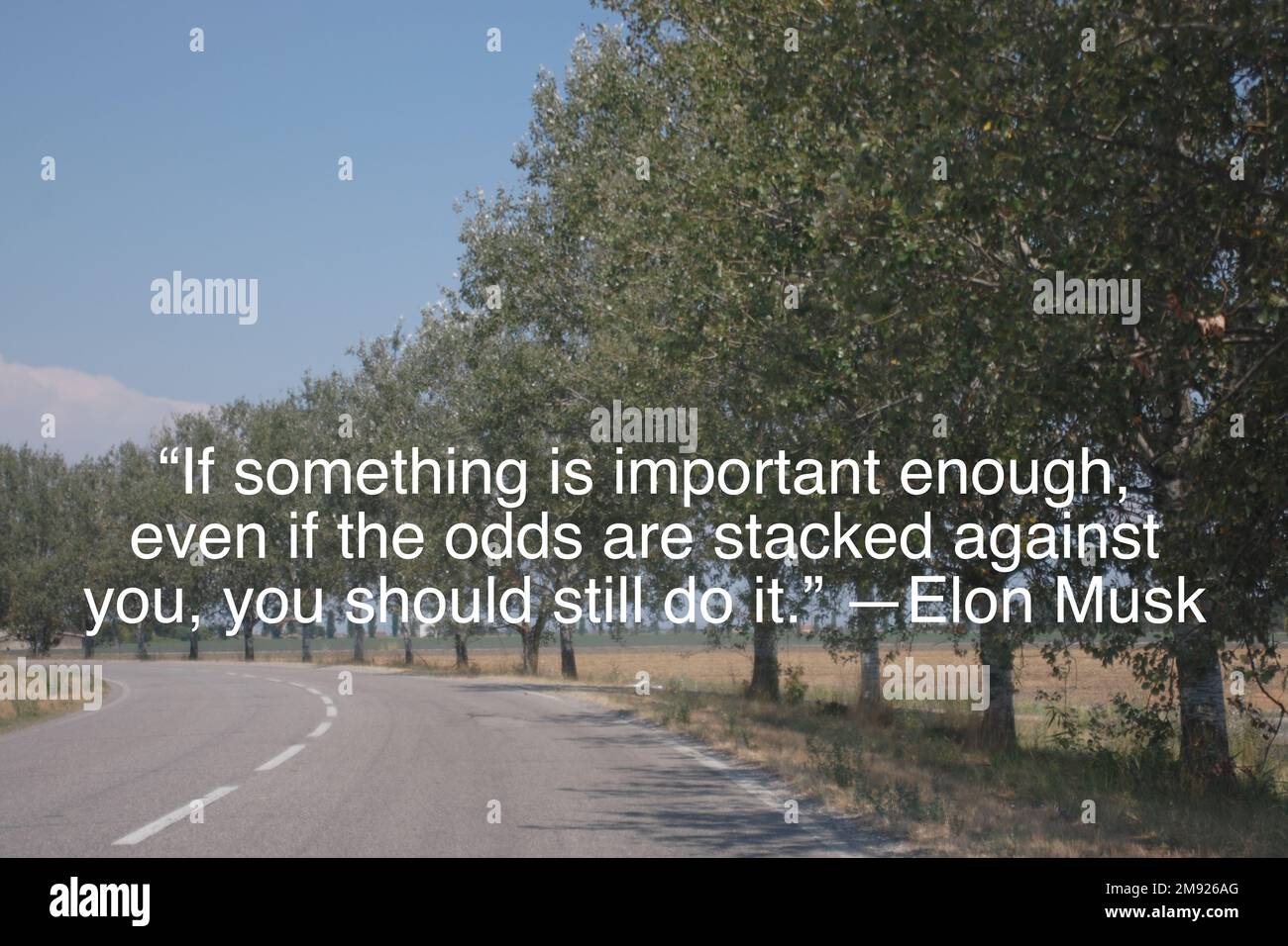 “Se qualcosa è abbastanza importante, anche se le probabilità sono accumulate contro di voi, dovreste comunque farlo”. —Elon Musk Foto Stock