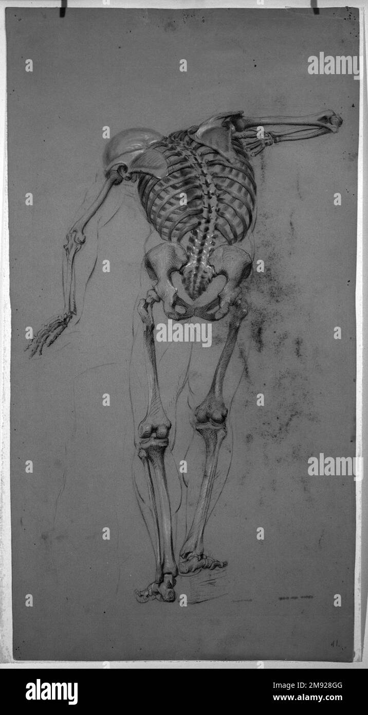 Studio sullo scheletro Daniel Huntington (americano, 1816-1906). Studio scheletro, ca. 1848. Pastello nero e rosso e gesso bianco su carta beige di media grammatura, leggermente ruvida, foglio: 20 3/16 x 10 3/8 pollici (51,3 x 26,4 cm). Quando Daniel Huntington fece questo disegno, era un pittore molto apprezzato nel mondo culturale di New York. La ritrattazione era la sua produzione dominante, ma qui la sua competenza tecnica come disegnatore è evidente. Lo studio dello scheletro si basa sulla figura di un faun maschile danzante proveniente da una scultura ellenistica. Conoscere la corretta struttura dello scheletro che sta alla base della carne del corpo è centrale Foto Stock
