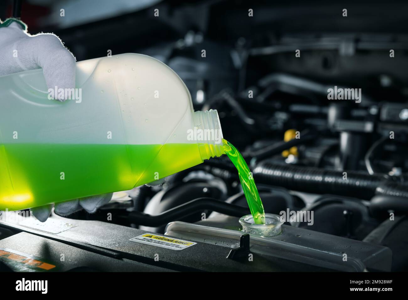 versare liquido di raffreddamento antigelo nel radiatore del motore dell'auto Foto Stock