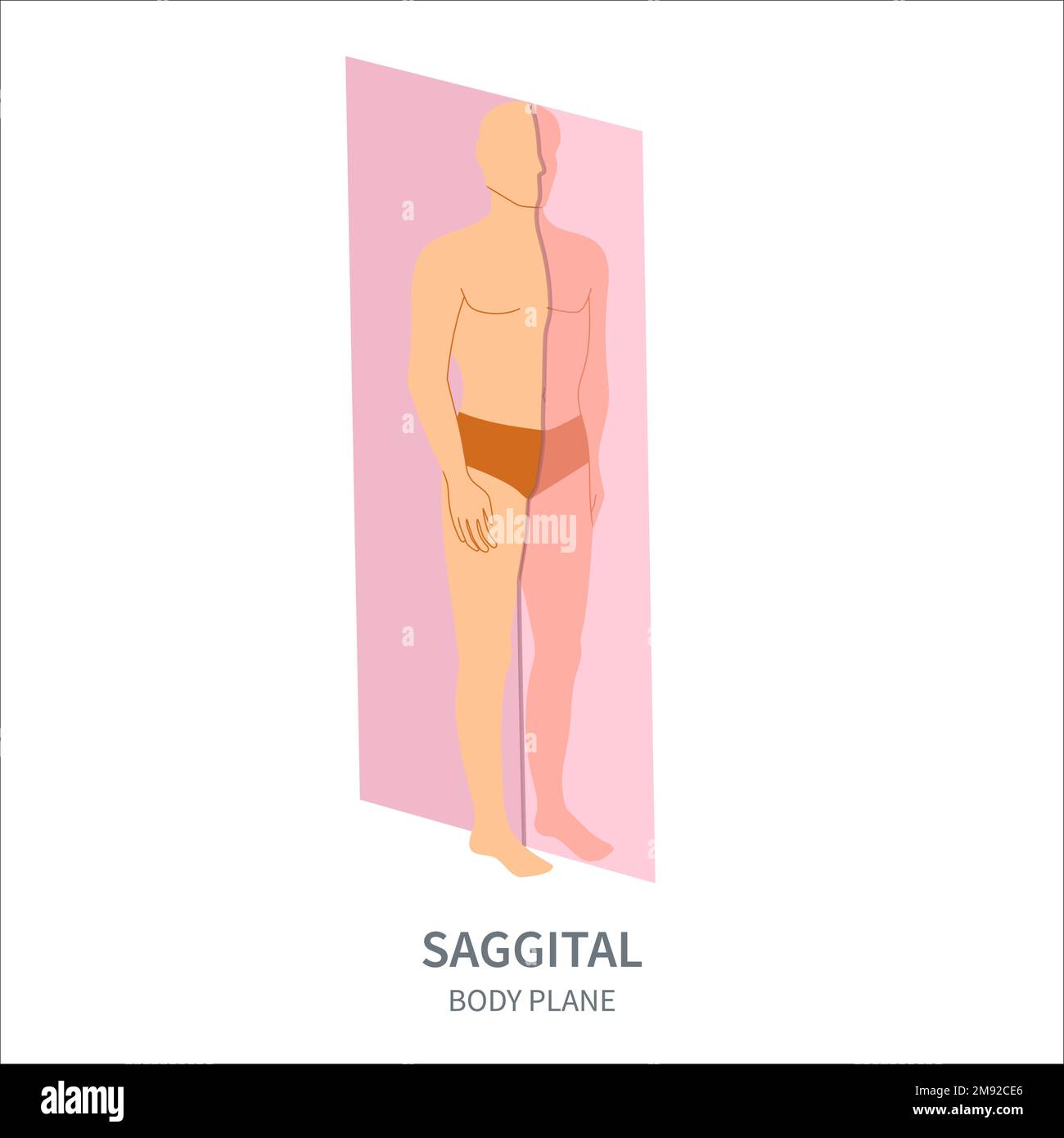 Piano di scansione sagittale per il diagramma di posizione dell'orientamento della sonda Illustrazione Vettoriale