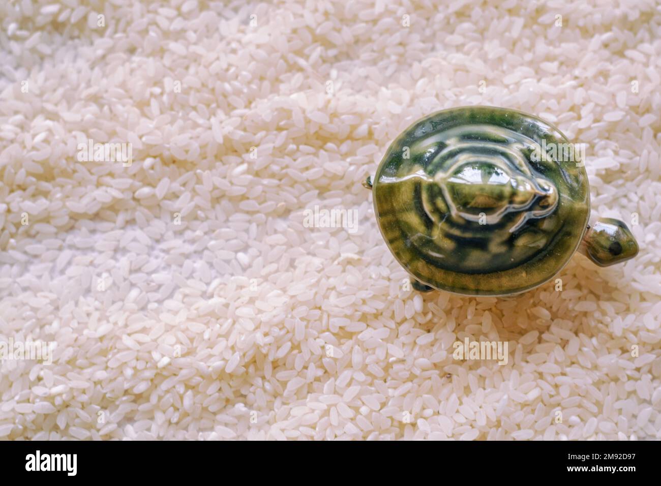 Una foto creativa per interni con tartaruga di porcellana e sabbia di mare a base di riso Foto Stock