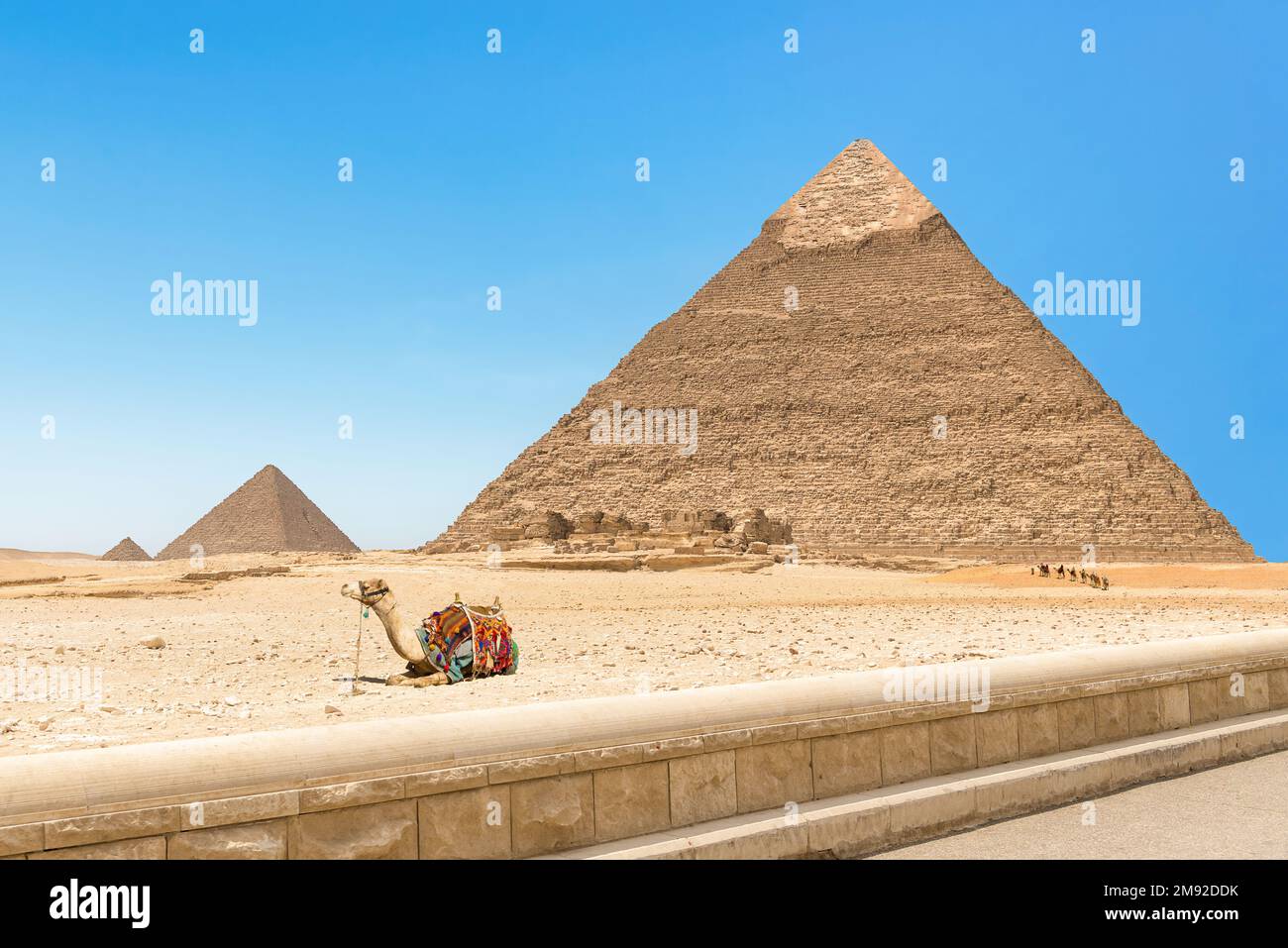 Una vista delle Piramidi di Chefren e Mito, Giza, Egitto. Foto Stock