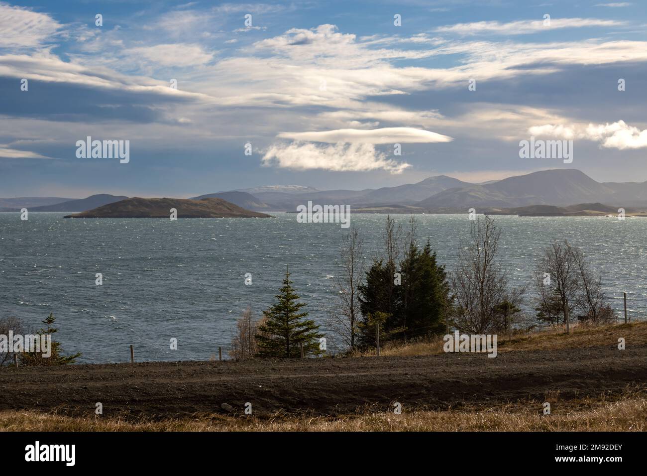 Alberi rari sull'isola, che crescono sulle rive del famoso grande lago Thingvallavatn. Montagne sullo sfondo. Cielo nuvoloso. Grafningsvegur Efri, IC Foto Stock