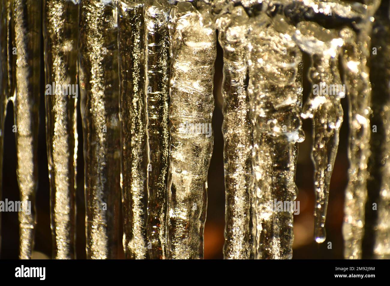 Ghiaccioli alla luce naturale del sole nel pomeriggio scintillante ad angolo, il sole che scioglie il ghiaccio, prismi di febbraio Foto Stock