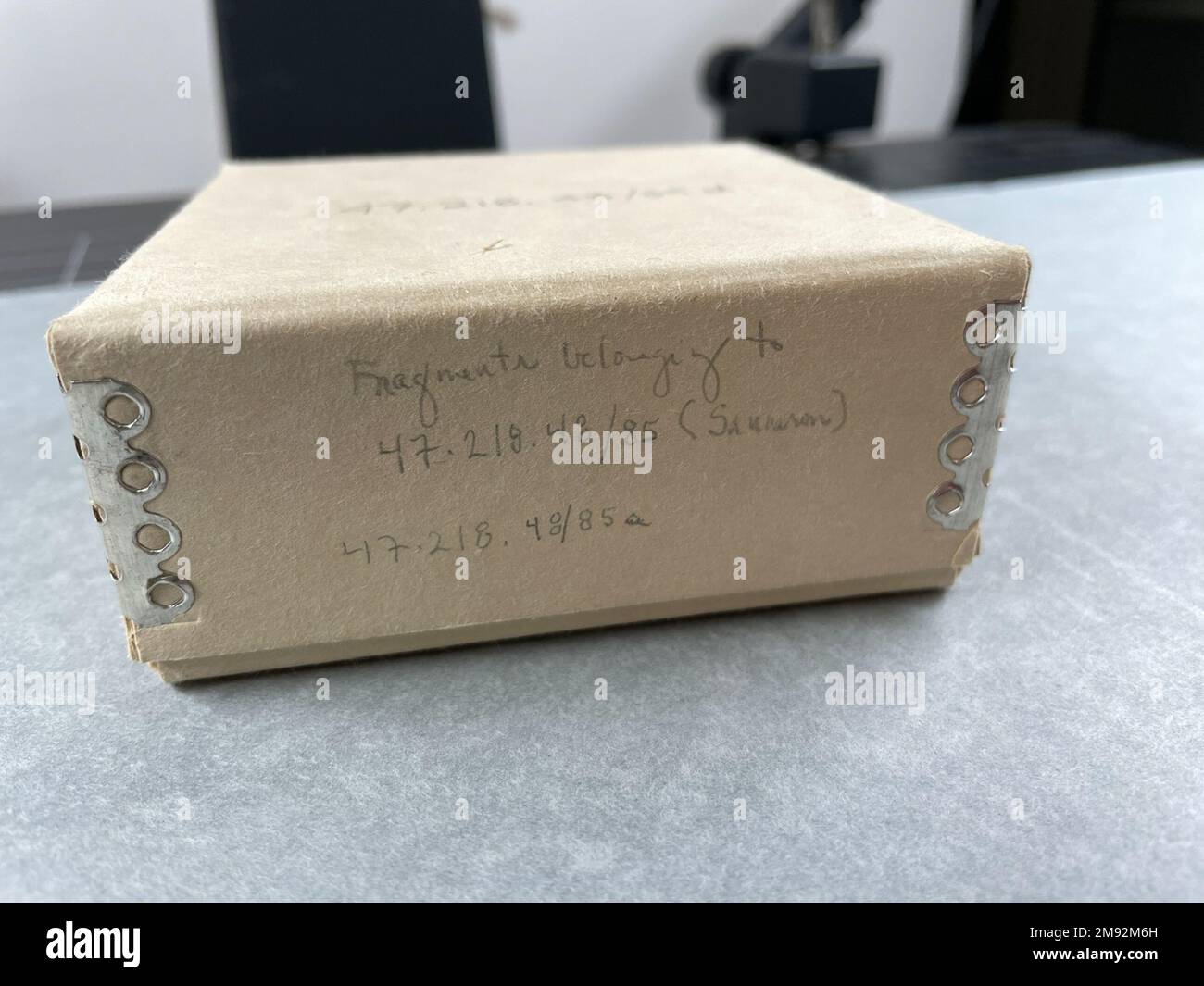 Snakebite Papyrus Snakebite Papyrus, 589-525 B.C.E. Papiro, inchiostro, totale: 10 5/8 x 68 7/8 pollici (27 x 175 cm). Egiziano, Classico, Antica Arte Vicino Orientale 589-525 B.C.E. Foto Stock