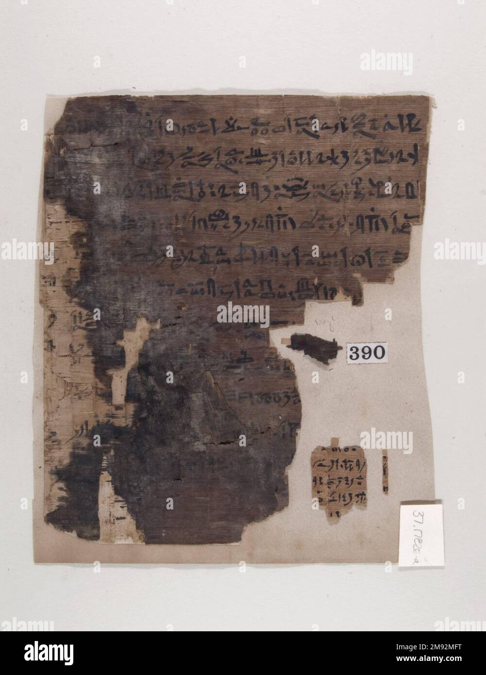 Libro dei morti di Djedkhonsuiuefankh Libro dei morti di Djedkhonsuiuefankh, ca. 945-712 B.C.E. Papiro, inchiostro, foglio: 8 1/16 x 9 3/4 pollici (20,5 x 24,7 cm). Il Libro dei morti ha fornito gli incantesimi che il defunto deve conoscere e recitare per accelerare il viaggio nell'aldilà. Questa copia è stata fatta per un sacerdote altamente posto del dio Amun. Come per la maggior parte degli altri esempi del Libro dei morti, qui è inclusa solo una selezione di incantesimi. A sinistra ci sono gli Incantesimi 15 e 17. L'illustrazione raffigura Djedkhonsuiuefankh davanti al dio del sole Re-Hor-akhty. Le colonne di testo nell'illustrazione rivelano il dio' Foto Stock Libro dei morti di Djedkhonsuiuefankh Libro dei morti di Djedkhonsuiuefankh, ca. 945-712 B.C.E. Papiro, inchiostro, foglio: 8 1/16 x 9 3/4 pollici (20,5 x 24,7 cm). Il Libro dei morti ha fornito gli incantesimi che il defunto deve conoscere e recitare per accelerare il viaggio nell'aldilà. Questa copia è stata fatta per un sacerdote altamente posto del dio Amun. Come per la maggior parte degli altri esempi del Libro dei morti, qui è inclusa solo una selezione di incantesimi. A sinistra ci sono gli Incantesimi 15 e 17. L'illustrazione raffigura Djedkhonsuiuefankh davanti al dio del sole Re-Hor-akhty. Le colonne di testo nell'illustrazione rivelano il dio' Foto Stock