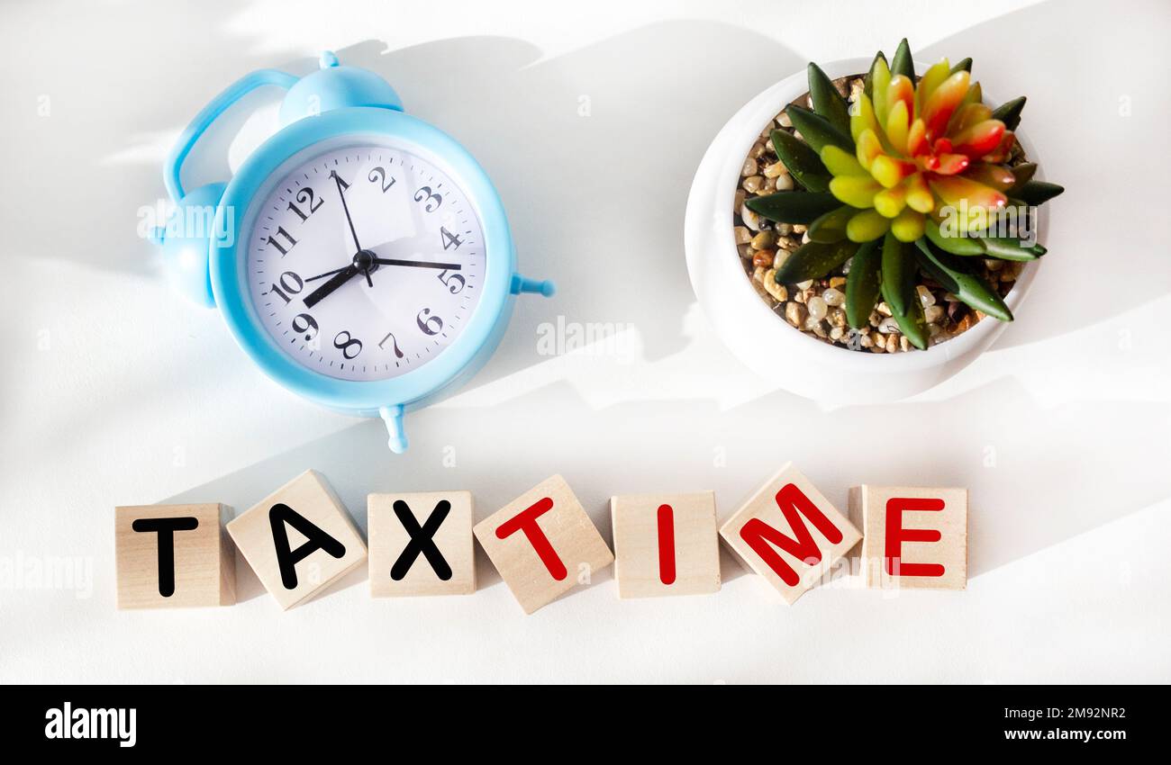 Tempo FISCALE parola con orologio e cactus su sfondo bianco Foto Stock