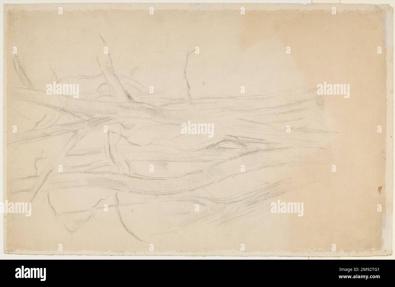 Studio di alberi e rocce; Studio di alberi (verso) Paul Cézanne (francese, 1839-1906). Studio di alberi e rocce; Studio di alberi (verso), 1890-1895. Grafite e acquerello su carta per colate (recto); grafite (verso) , foglio: 19 1/2 x 12 5/8 poll. (49,5 x 32,1 cm). Qui, Paul Cézanne ha usato un campo stratificato di marchi di grafite e piani trasparenti di acquerello per descrivere fogliame e contorni naturali, con passaggi bianchi di carta che aumentano un senso di spazio e luce. I tratti di acquerello e le linee di grafite creano un ritmo armonioso attraverso la superficie del disegno. Cézanne usò disegni come questi, whic Foto Stock