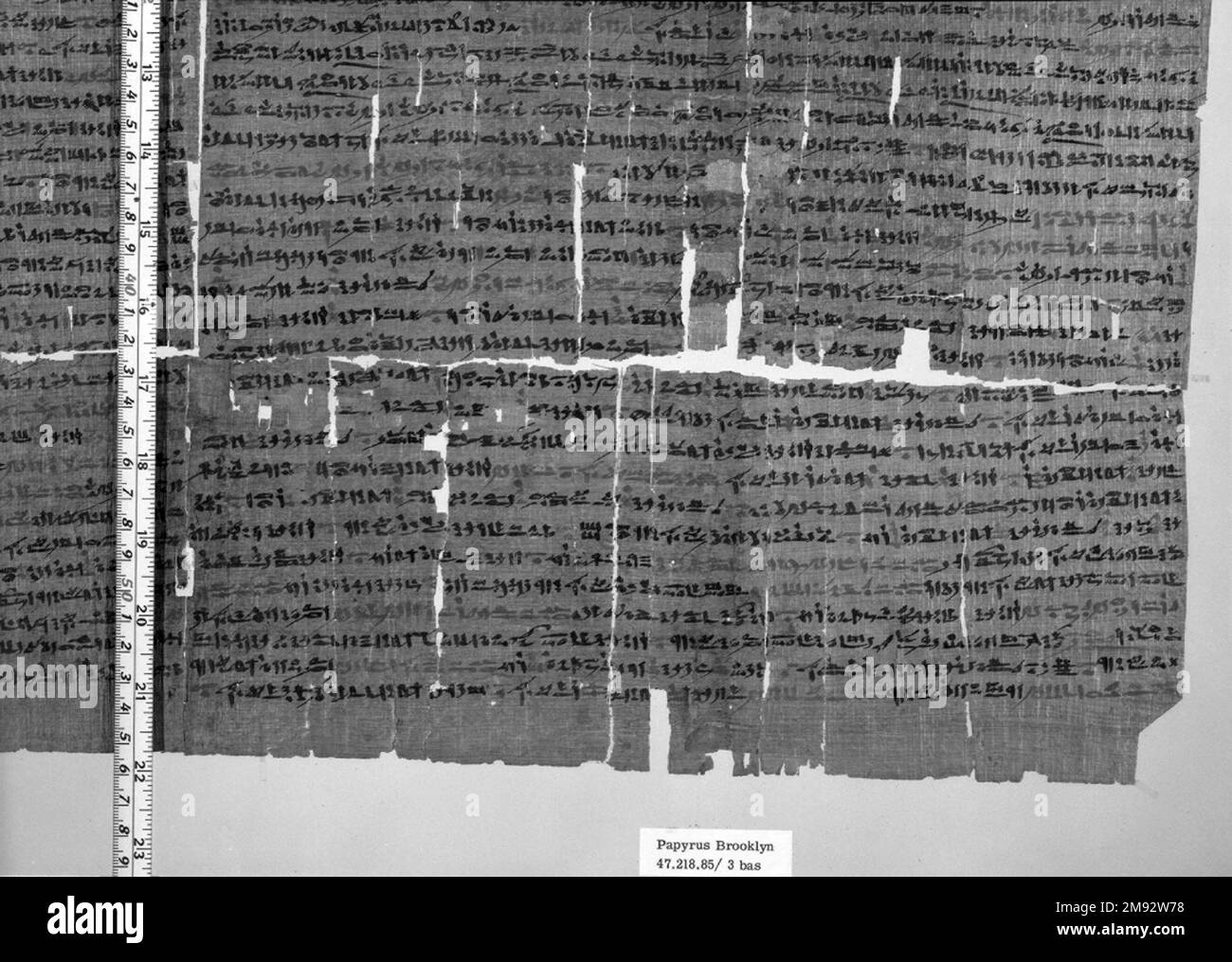 Snakebite Papyrus Snakebite Papyrus, 6th-4th secolo B.C.E. Papiro, inchiostro, a: Vetro: 15 13/16 x 27 5/8 pollici (40,2 x 70,2 cm). Egiziano, Classico, Antica Arte Vicino Orientale 6th-4th secolo B.C.E. Foto Stock