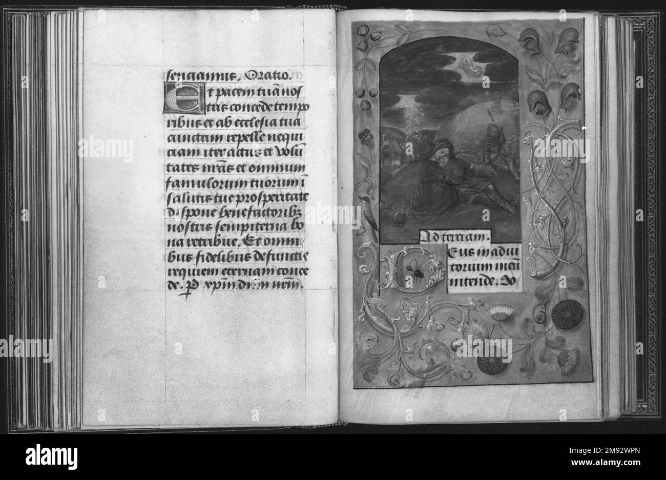 Horae Beatae Mariae Virginis Fiammingo. Horae Beatae Mariae Virginis, ca. 1510-1530. Manoscritto con acquerello opaco e inchiostro con oro, 6 3/8 x 4 7/8 x 1 5/8 pollici (16,2 x 12,4 x 4,1 cm). Arte europea ca. 1510-1530 Foto Stock