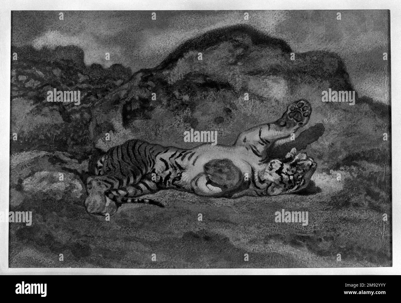 Tiger Rolling (Tigre se roulant) Antoine-Louis Barye (francese, 1795-1875). Tiger Rolling (Tigre se roulant), ca. 1840. Acquerello e acquerello opaco su carta ovata, foglio: 9 5/16 x 11 5/16 pollici (23,7 x 28,7 cm). Lo scultore, pittore e stampatore Antoine-Louis Barye si specializzò in rappresentazioni naturalistiche di bestie feroci, che attirarono i gusti romantici del pubblico francese della metà del XIX secolo. Questo acquerello si basa sulle sue visite alla menageria del Jardin des Plantes a Parigi, e può essere una versione elaborata di uno studio realizzato sul posto. La struttura particolare di questo lavoro Foto Stock