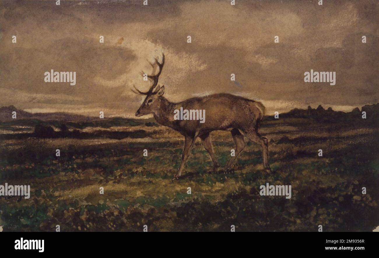 Passeggiata a piedi (Cerf marchant) Antoine-Louis Barye (francese, 1795-1875). Passeggiata a piedi (Cerf marchant), n.d. Acquerello e gouache su carta color crema, 5 1/2 x 9 pollici (14 x 22,9 cm). Arte europea n.d. Foto Stock