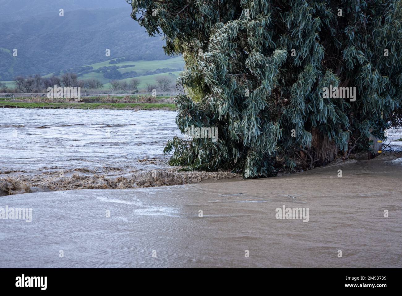 Il fiume Salinas trabocca le sue rive e si allaga nei campi agricoli dopo una serie di eventi fluviali suggestivi in California Foto Stock