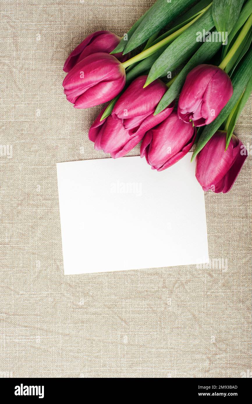 Tulipani viola e carta bianca su tovaglia grigia. Concetto di vacanze primaverili. Vista dall'alto, piatto, mockup. Foto Stock