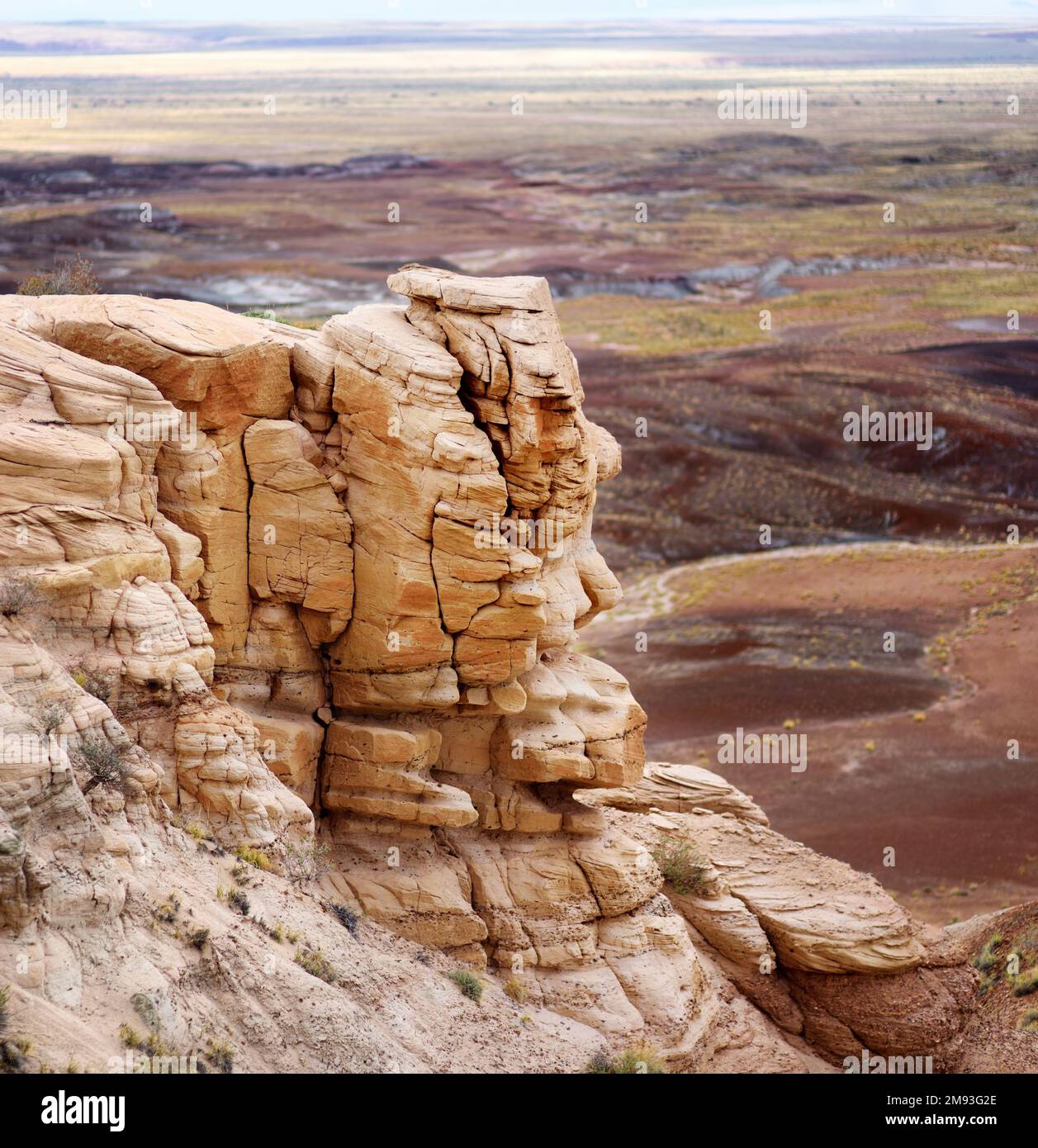 Formazioni di arenaria viola a strisce di Blue Mesa Badlands nel Petrified Forest National Park, Arizona, USA. Esplorando il sudovest americano. Foto Stock