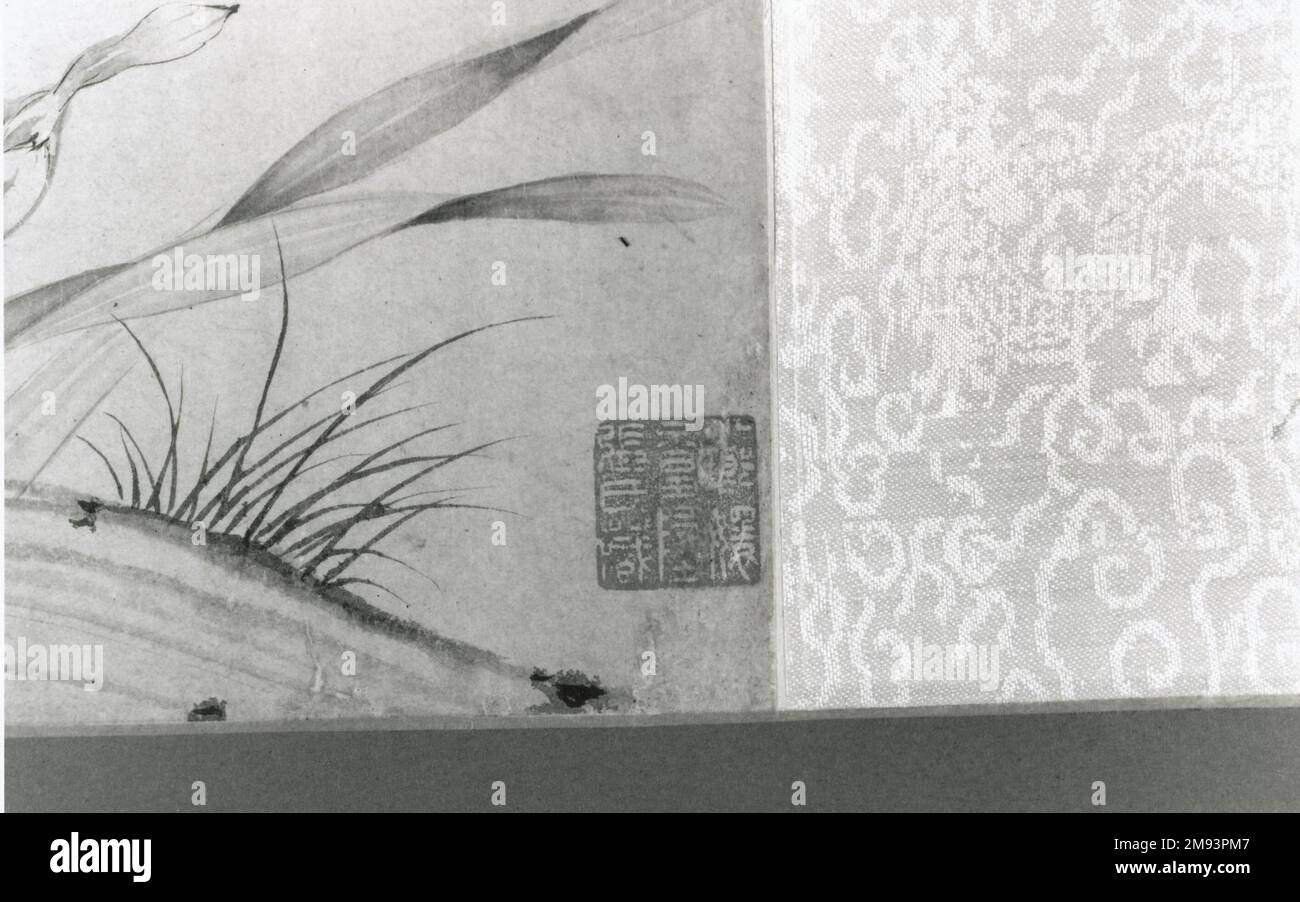 Frammento di un rotolo montato come un rotolo sospeso - Bamboo, Orchid e Thorn Hsueh CH'uang. Frammento di un volantino montato come un chiocciolo sospeso - Bamboo, Orchidea e Thorn, 1279-1368. Pittura con inchiostro su carta, immagine: 15 3/4 x 25 3/16 pollici (40 x 64 cm). Arte asiatica 1279-1368 Foto Stock