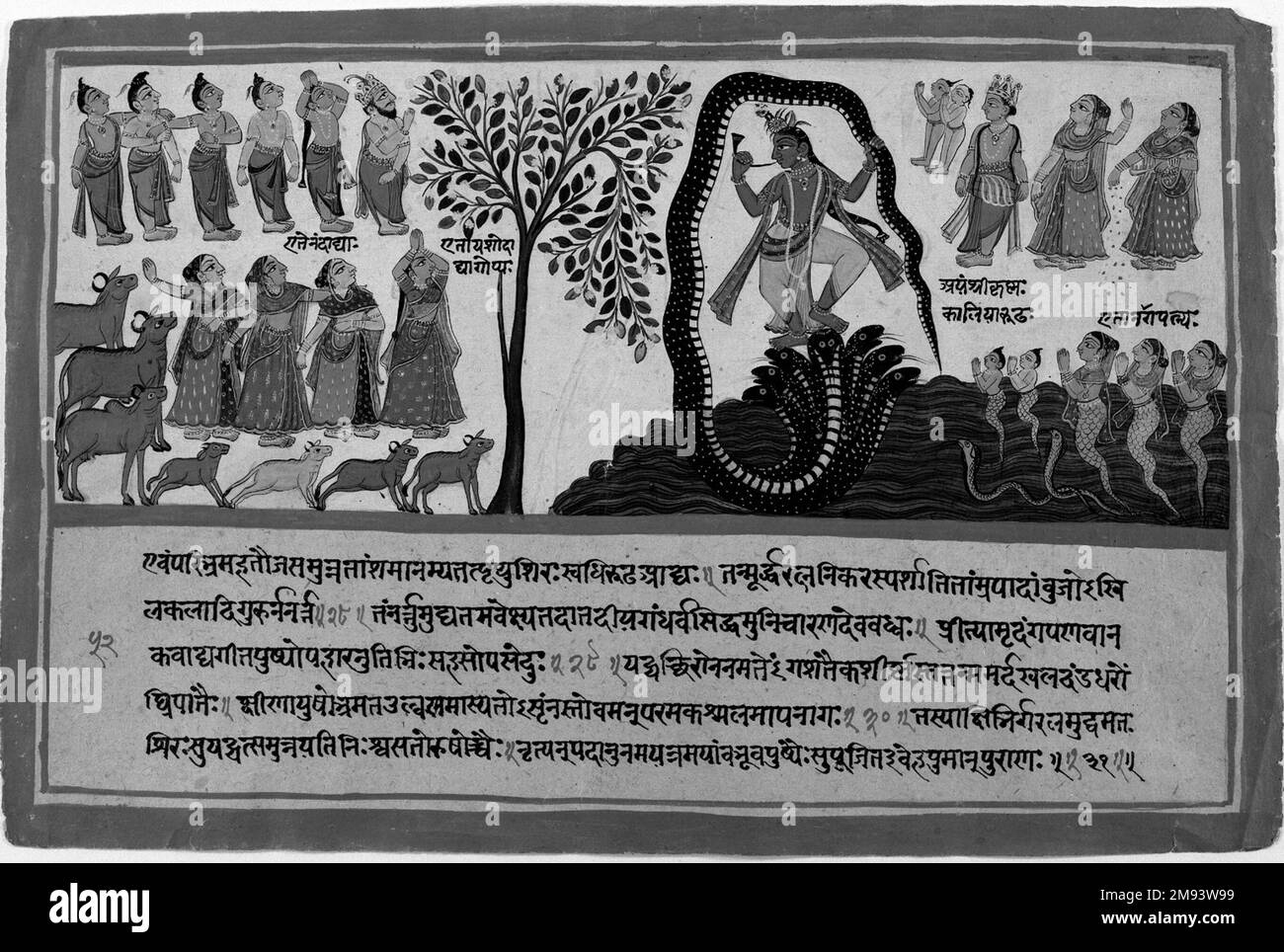 Krishna conquista il serpente Kaliya, pagina da una dispersa Bhagavata Purana Serie indiana. Krishna conquista il serpente Kaliya, pagina da una dispersa Bhagavata Purana Series, ca. 1775. Acquerello opaco e oro su carta, foglio: 9 3/4 x 14 5/8 pollici (24,8 x 37,1 cm). Arte asiatica ca. 1775 Foto Stock