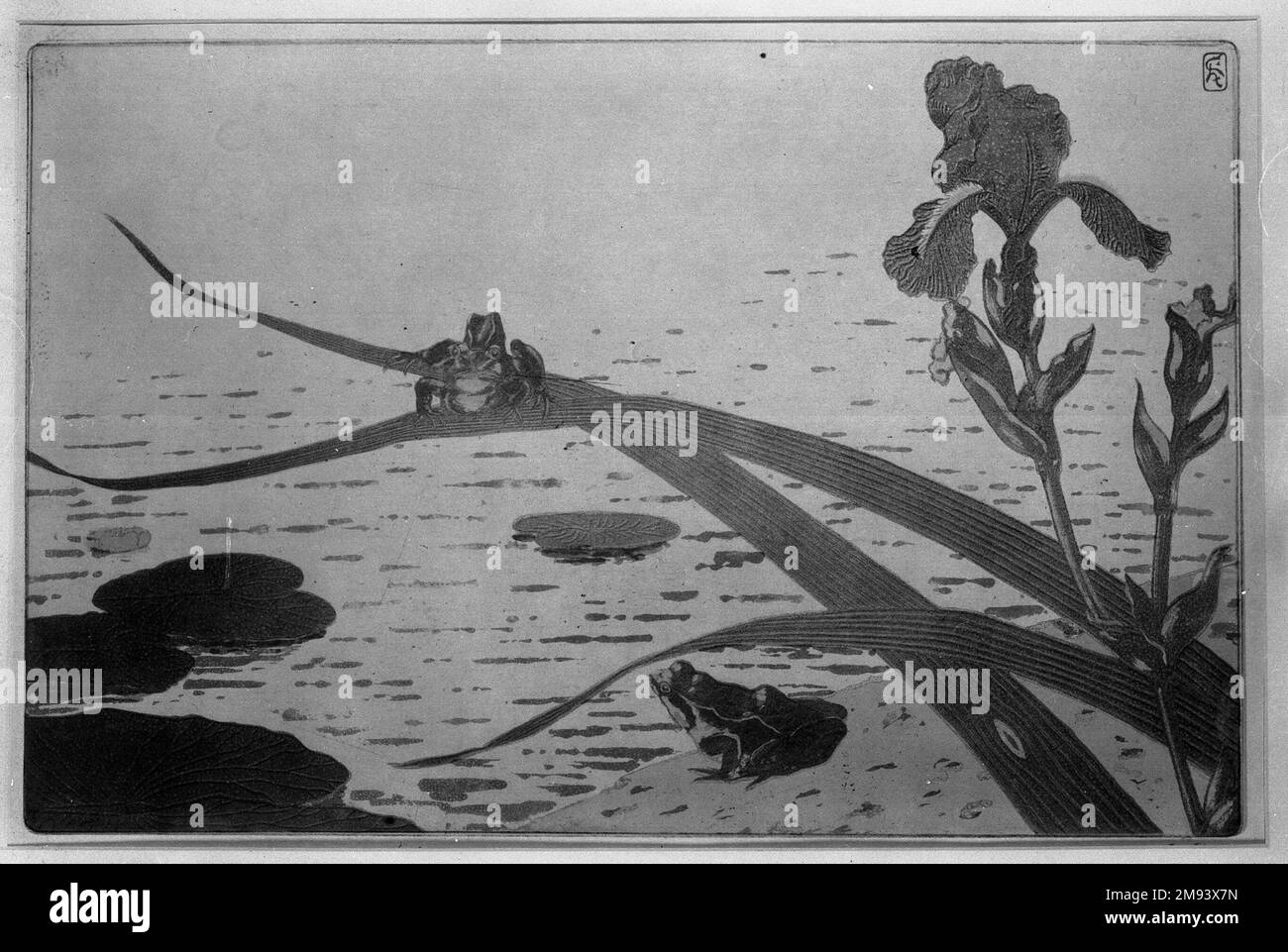 Grenouilles Charles Houdard (francese). , 1894. Acquaforte? a colori su carta con scanalature, 10 1/4 x 13 3/8 poll. (26 x 34 cm). Arte europea 1894 Foto Stock