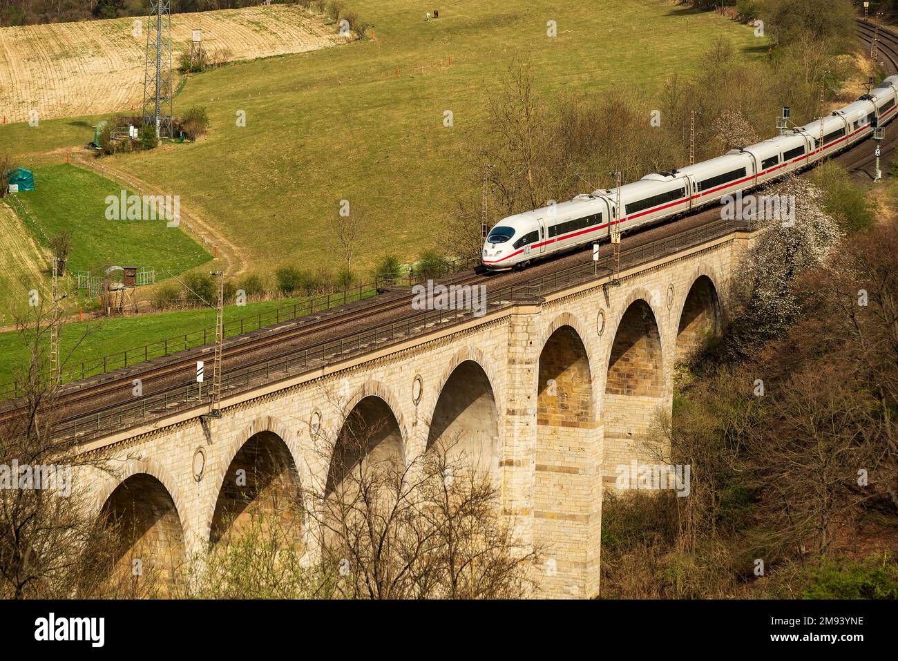 Treno ad alta velocità che attraversa il Viadotto Altenbeken, un viadotto ferroviario lungo 482 metri e alto fino a 35 metri che attraversa la valle di Beke, Germania Foto Stock