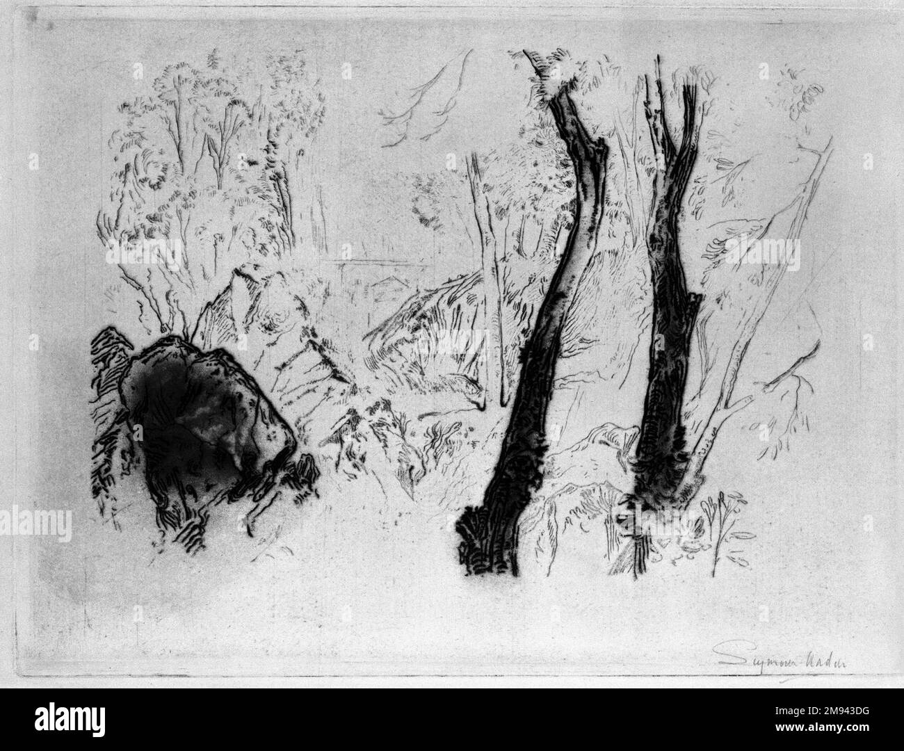 Vicino alla Crande Chartruese Seymour Haden (inglese, 1818-1910). Carta pesante con spostamento a etchingon, 11 7/16 x 15 1/4 pollici (29 x 38,8 cm). Arte europea Foto Stock