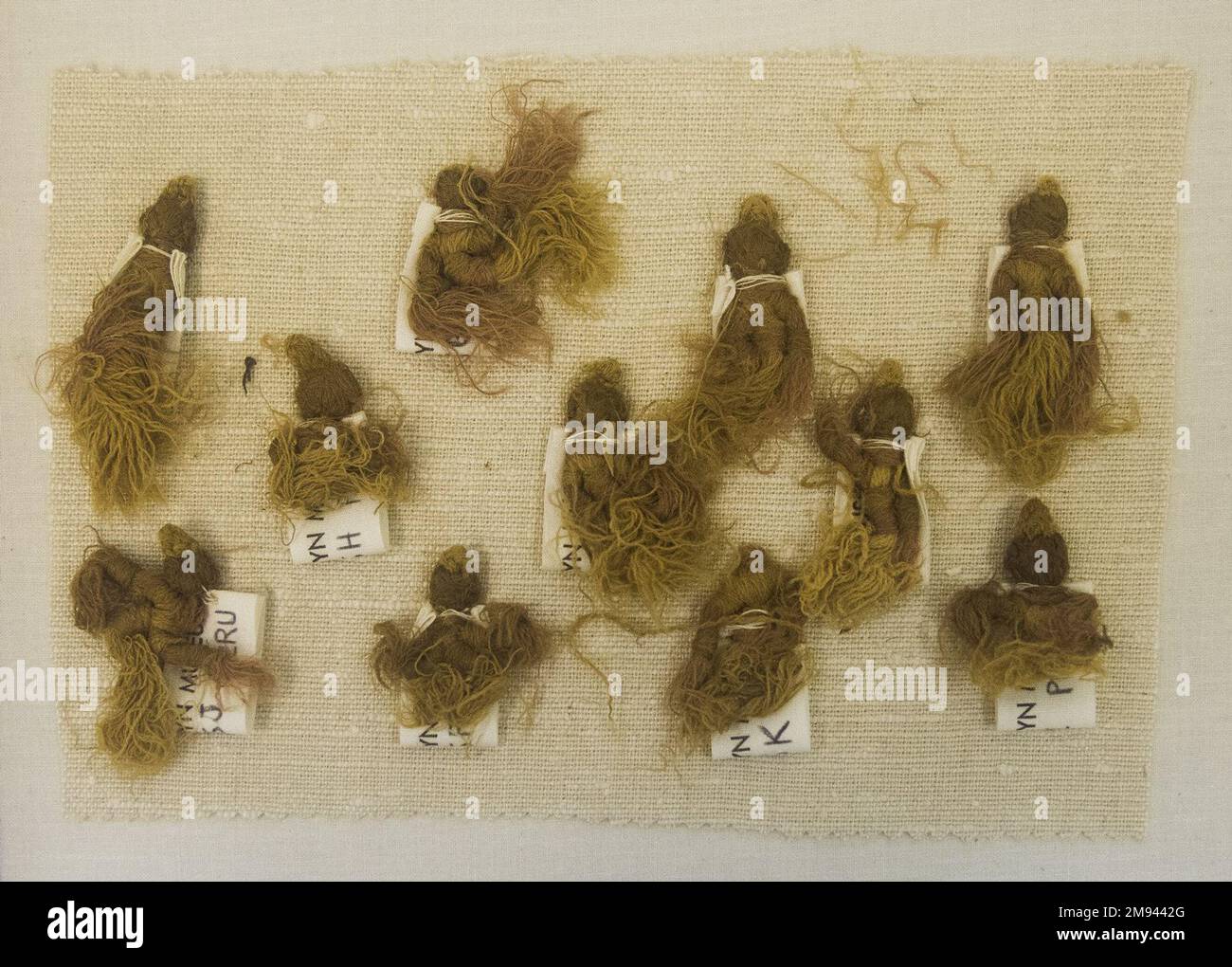 11 taselli, frammenti Chancay. , 1000-1532. Fibra camelide, 2 3/8 x 13/16in. (6 x 2cm). Arti delle Americhe 1000-1532 Foto Stock