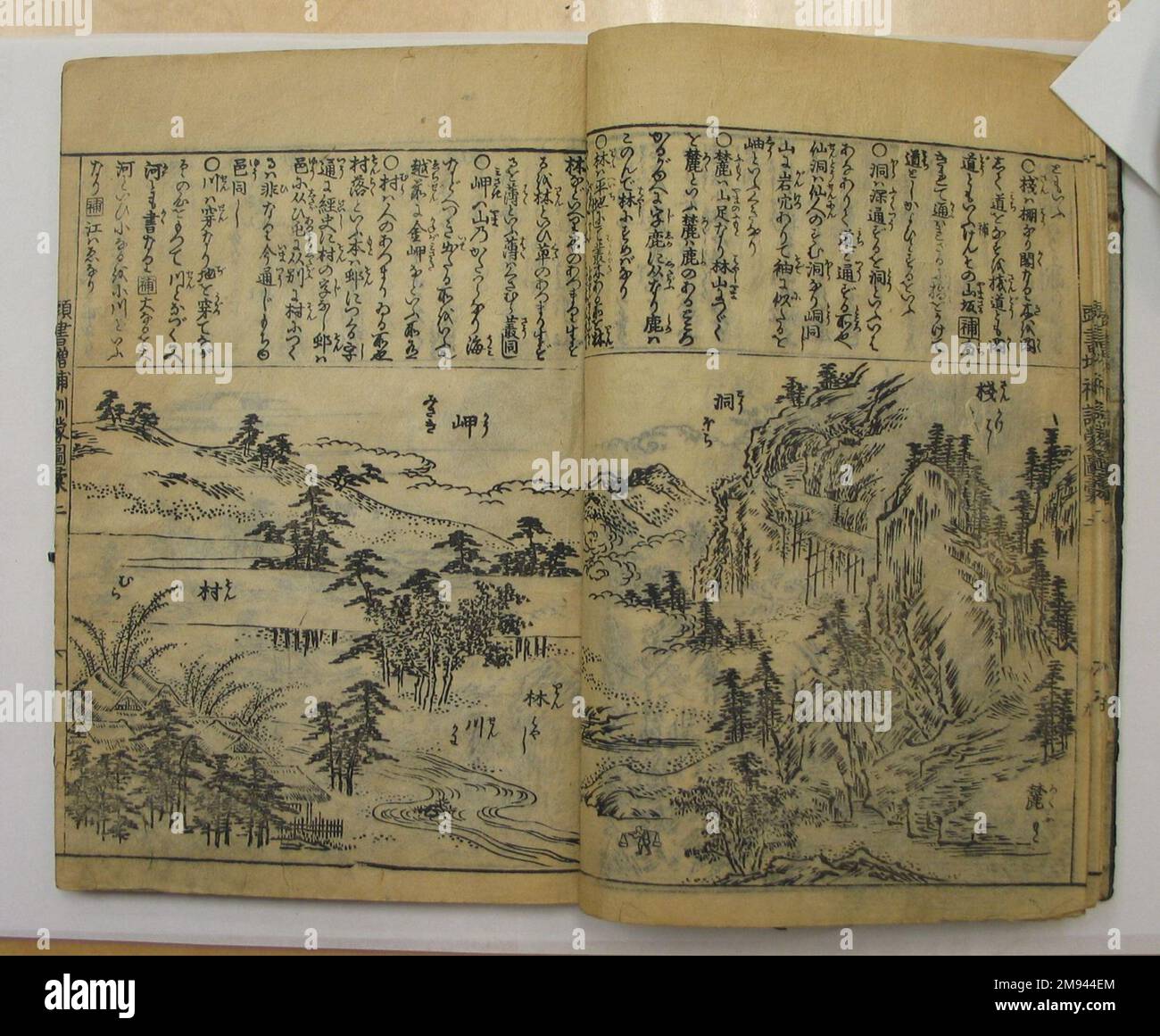 Kunmo Zu-i Taisei. Kashiragaki Zoho dopo l'originale di Nakamura Tekisai (giapponese, 1629-1702). Kunmo Zu-i Taisei. Kashiragaki Zoho, 1629-1702. Carta, a: 8 7/8' - L: 6 1/4'. Arte asiatica 1629-1702 Foto Stock