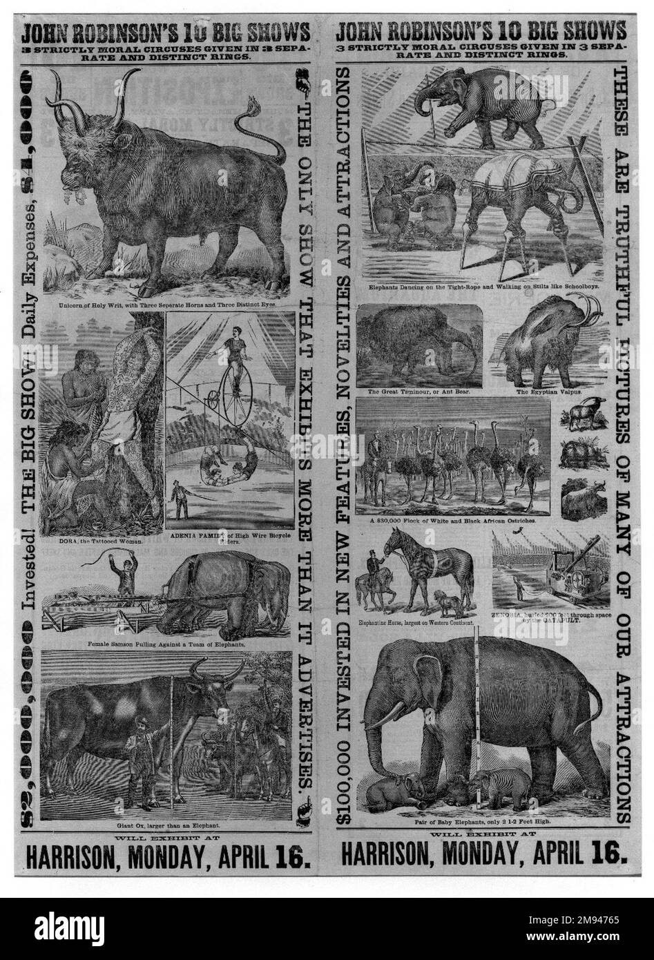 Poster per John Robinson's Circus American. Poster per John Robinson's Circus, ca. 1890. Incisione del legno su carta con intaglio giallo, foglio: 28 7/8 x 20 3/4 poll. (73,3 x 52,7 cm). Arte americana ca. 1890 Foto Stock
