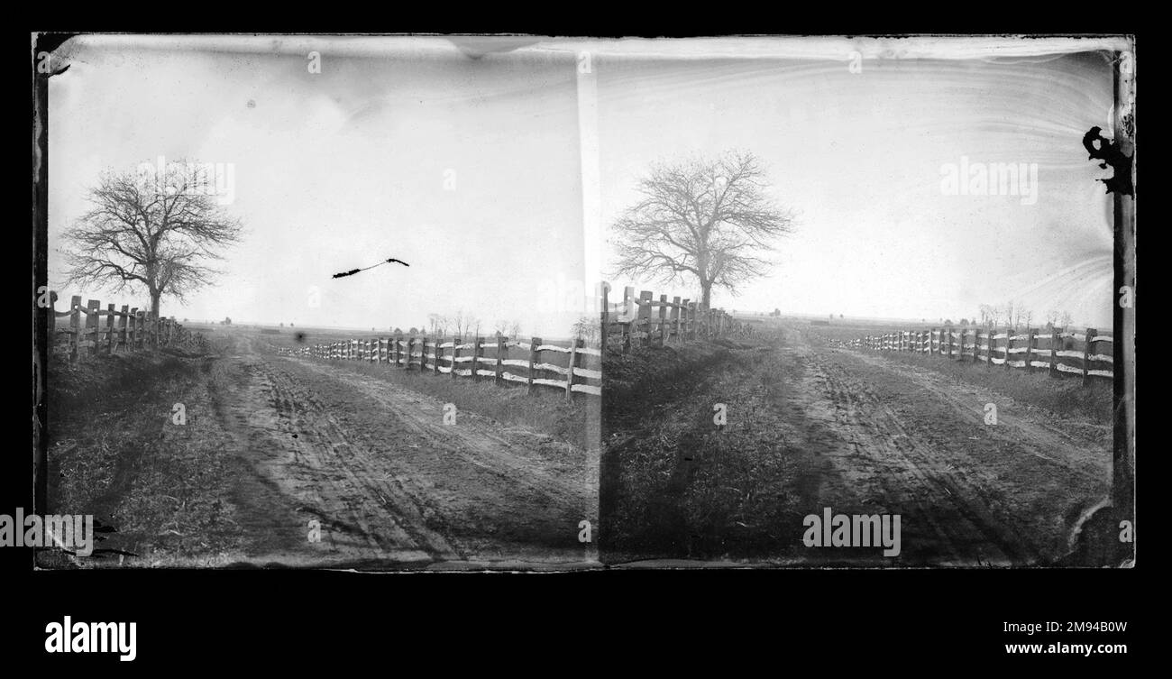 Piastra Vetro-grill | Attrezzature Professionali Bar - Foto 6