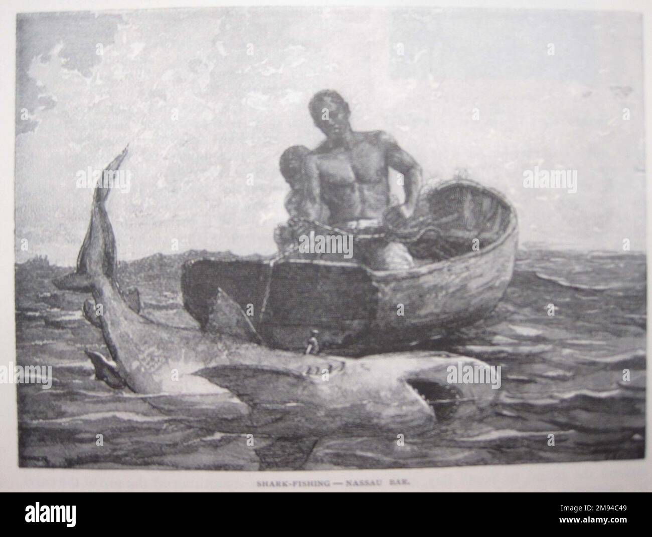 Pesca degli squali-Nassau Bar Winslow Homer (americano, 1836-1910). Pesca degli squali-Nassau Bar, 1887. Incisione, illustrazione: 3 7/8 x 5 5/16 poll. (9,8 x 13,5 cm). Arte americana 1887 Foto Stock Pesca degli squali-Nassau Bar Winslow Homer (americano, 1836-1910). Pesca degli squali-Nassau Bar, 1887. Incisione, illustrazione: 3 7/8 x 5 5/16 poll. (9,8 x 13,5 cm). Arte americana 1887 Foto Stock