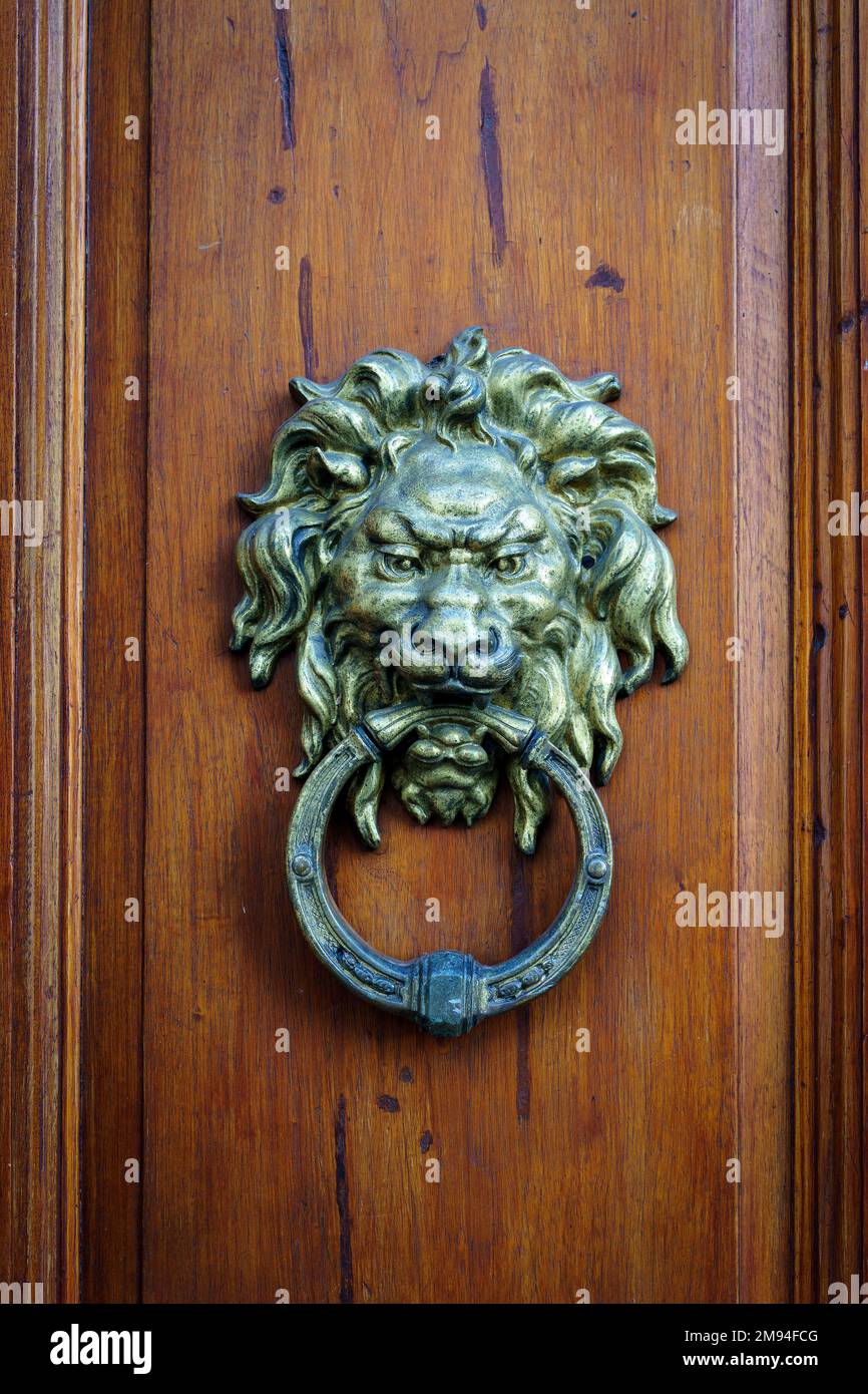 Antico maniglione decorativo sulla porta della casa d'epoca in legno. Testa di leone in bronzo metallico classico. Foto di alta qualità Foto Stock